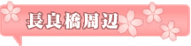 岐阜市 大宮台~鏡岩 長良橋より上流への左岸堤防